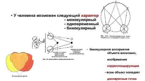 Как монокулярный характер зрения влияет на глубину и размер объектов?