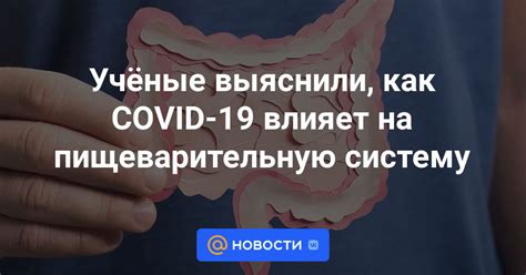 Как нарушение микрофлоры влияет на пищеварительную систему