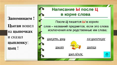 Как начальные приставки влияют на произношение и написание слов?