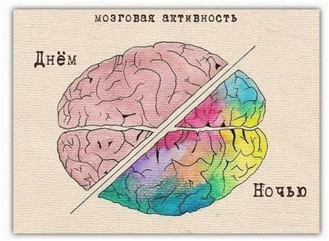 Как наш мозг работает во время сна: загадочный мир без сознания
