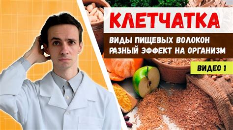 Как непереваренная клетчатка влияет на организм