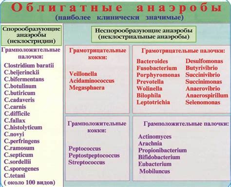 Как облигатные анаэробы используются в медицине и промышленности