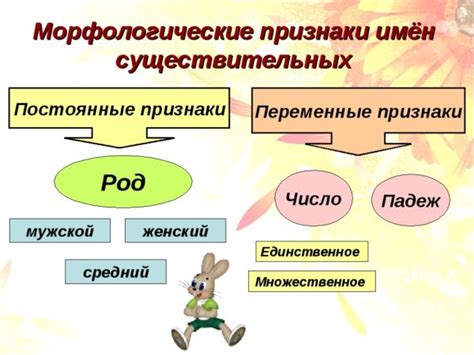 Как обозначить морфологические признаки в письменной форме?