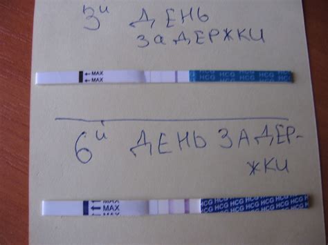 Как определить беременность по двум полоскам на тесте