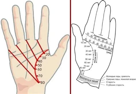 Как определить линию судьбы на ладони