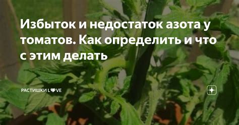 Как определить недостаток влаги у медных томатов