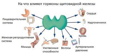 Как определить недостаток гормонов щитовидной железы