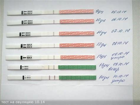 Как определить овуляцию с помощью боли?