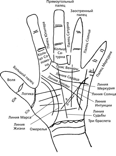 Как определить основные качества человека по прямой линии ладони