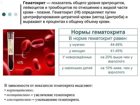 Как определить повышение уровня лейкоцитов