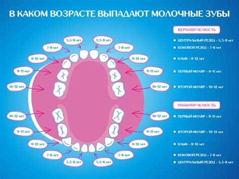 Как определить подвижный зуб у ребенка