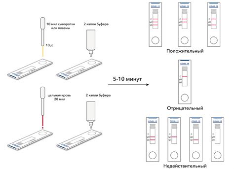 Как определить правильность проведения тестирования на ковид?