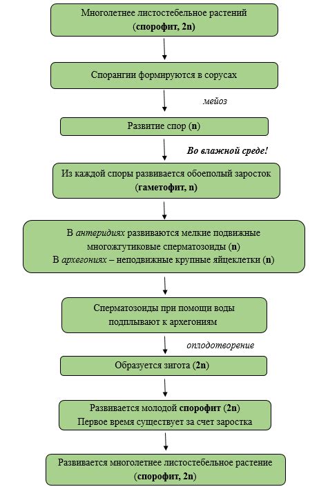 Как определить признаки завершения жизненного цикла у питомца