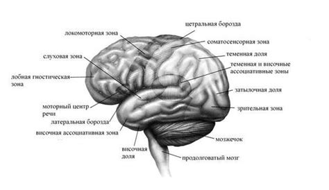 Как определить реальность сна с необычным героем?