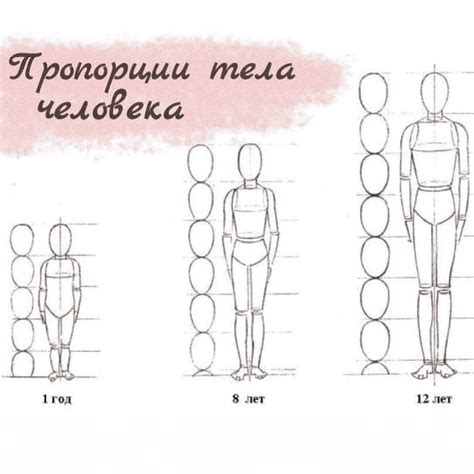 Как определить свои индивидуальные пропорции тела