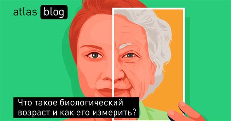 Как определить свой биологический возраст?