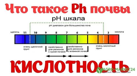 Как определить уровень гемолиза в образцах