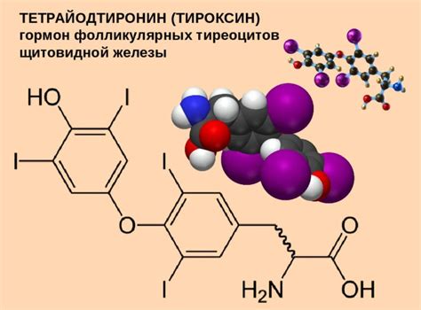 Как определить уровень тиреоглобулина 300?