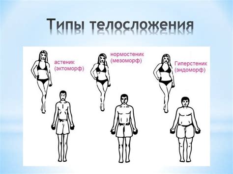 Как определить фактурное телосложение?