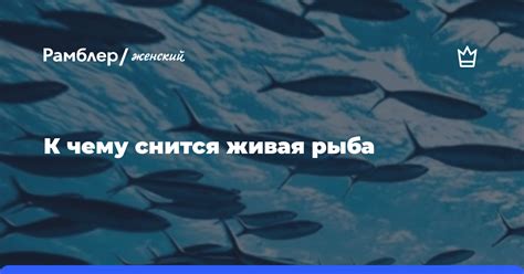 Как осмыслить сновидение о живой рыбе: практические советы