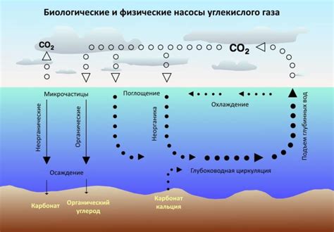 Как осуществляется взаимодействие воздуха и газа?