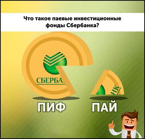 Как паевой инвестиционный фонд Сбербанка функционирует?