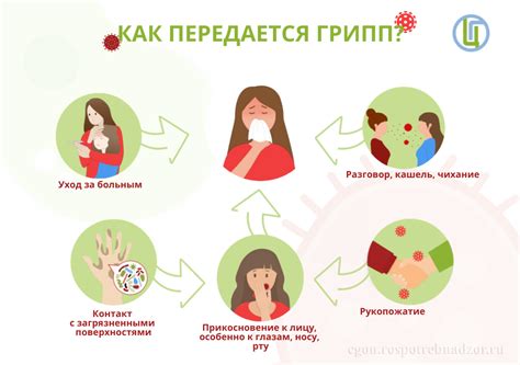 Как передается грипп штамм А?