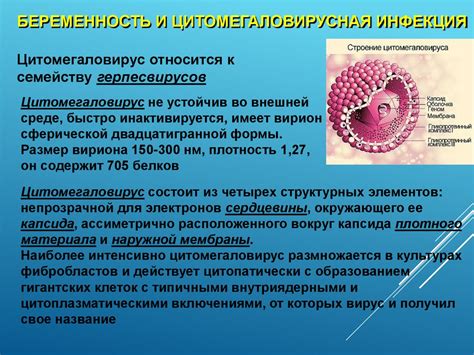 Как передаются перинатальные инфекции