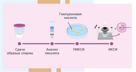 Как пикси повышают эффективность ЭКО