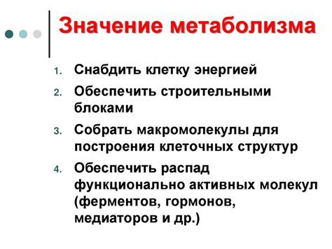 Как повысить общую активность и ускорить метаболизм?