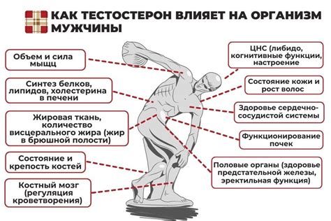 Как повысить резистенцию организма?