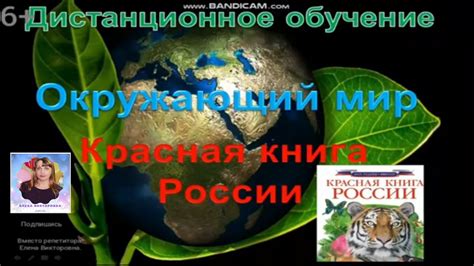 Как подготовить урок по окружающему миру для 2 класса