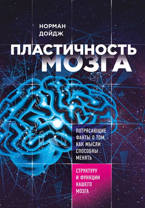 Как поддерживать и улучшать пластичность мозга?