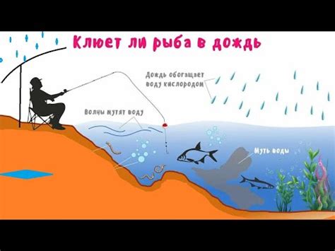 Как подклад рыбы влияет на результаты рыбалки?