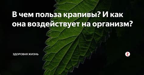 Как польза состояния покоя воздействует на организм: