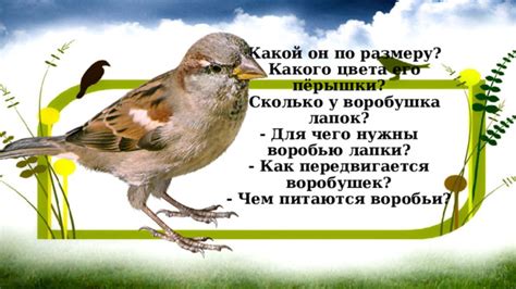 Как помочь маленькому воробью: советы по уходу и спасению