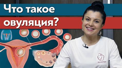 Как понять, что произошла овуляция?