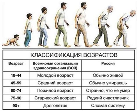 Как понять возрастной диапазон 1pcs?