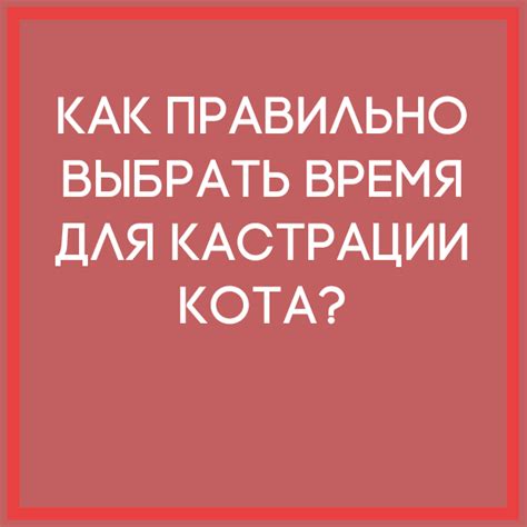 Как правильно выбрать время для кастрации?