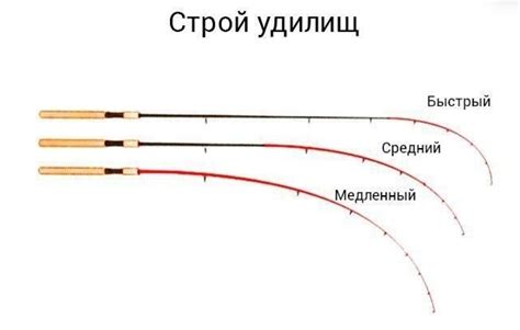 Как правильно выбрать подходящую модель спиннинга быстрого строя?