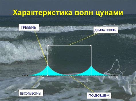 Как правильно действовать в случае приближения стихии цунами?