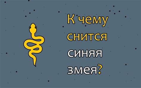 Как правильно интерпретировать информацию на синей метке?