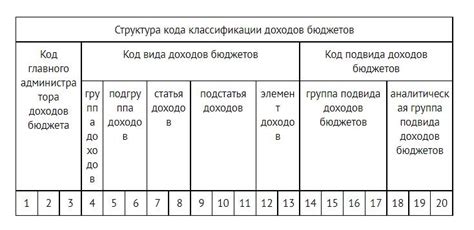 Как правильно использовать код 510 в бюджетной классификации