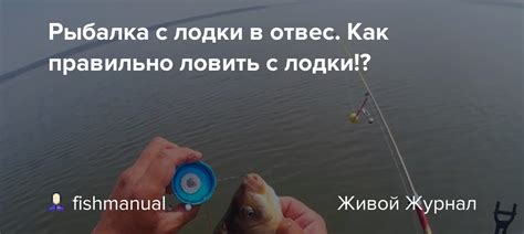 Как правильно ловить петра с утра?