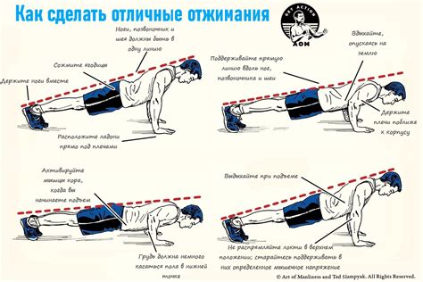 Как правильно отжиматься, чтобы избежать мышечной боли