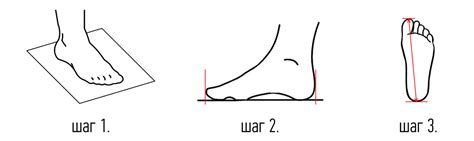 Как правильно провести сбор стопы