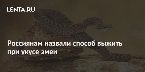 Как правильно расшифровать сон о загадочном укусе змеи, который коснулся твоей нижней конечности