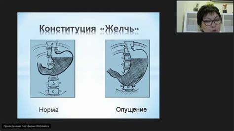 Как предотвратить "сорванный живот"?