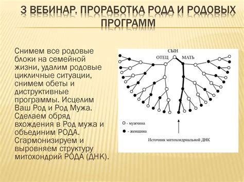 Как преодолеть преграды и раскрыть свой потенциал с помощью советов Мьевиля из области металлургии