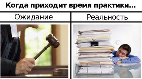 Как прецеденты формируют судебную практику